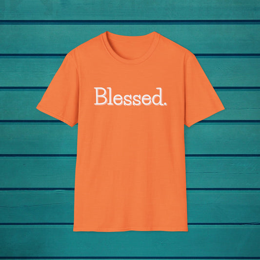 Blessed Unisex Tee, Inspirational Tshirt, Motivational Shirt, Novelty