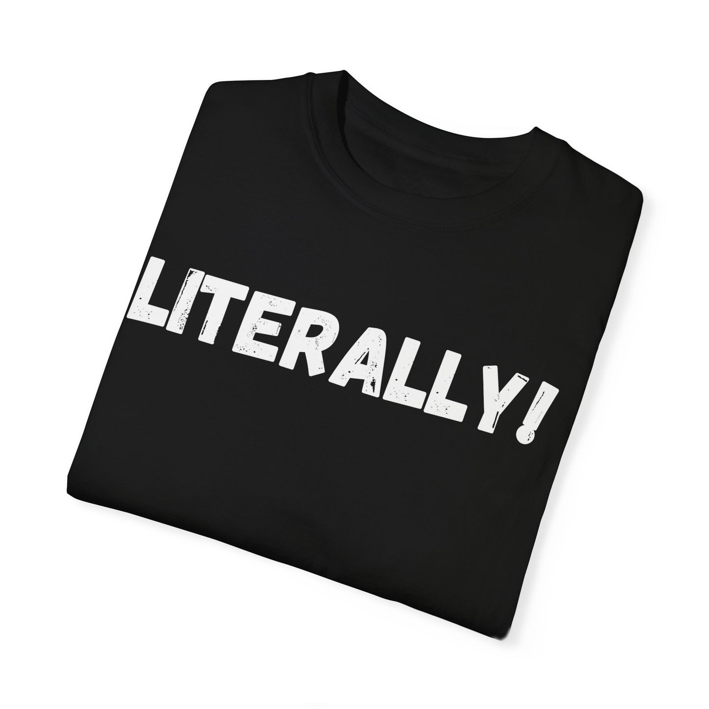 Literally Fun Graphic Tee, Funny Adult Humor Tshirt, Men's Women's Unisex Shirt,